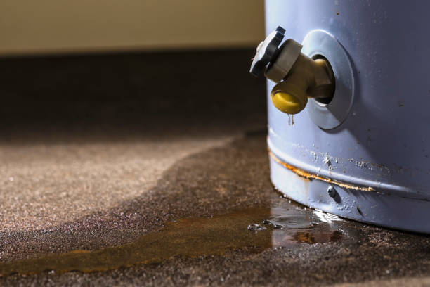 Best Water damage contractors near me  in Deer Park, IL