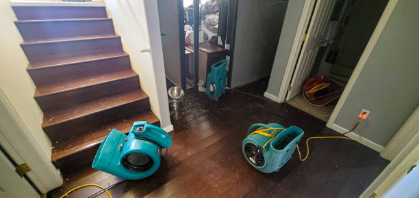 Best Basement water damage restoration  in Deer Park, IL