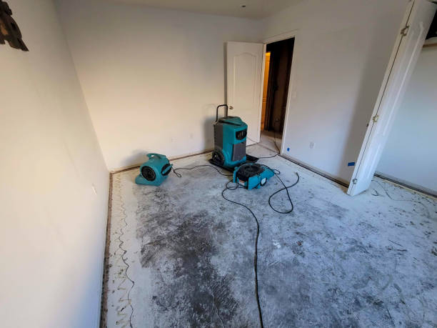 Best Emergency water damage restoration  in Deer Park, IL