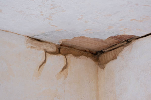 Best Commercial water damage restoration  in Deer Park, IL