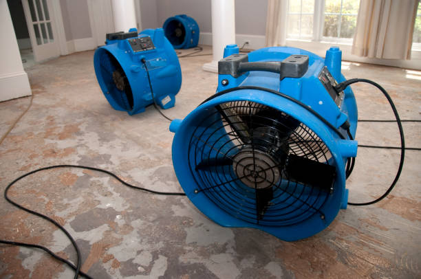 Best Water damage restoration mold remediation  in Deer Park, IL