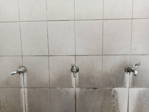 Best Carpet water damage restoration  in Deer Park, IL