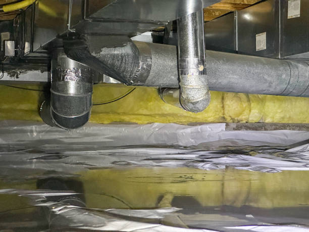 Best Basement water damage restoration  in Deer Park, IL