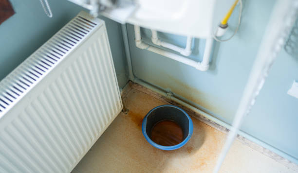 Best Flood restoration services  in Deer Park, IL