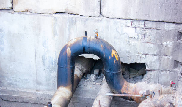 Best Water damage cleanup near me  in Deer Park, IL