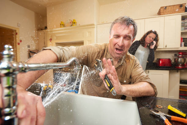Best Local water damage restoration  in Deer Park, IL